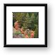 Zion's fall colors Framed Print