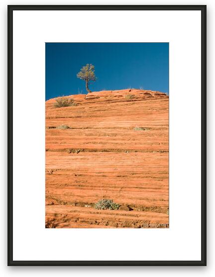 The Lone Tree Framed Fine Art Print