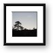 Tree silhouette Framed Print