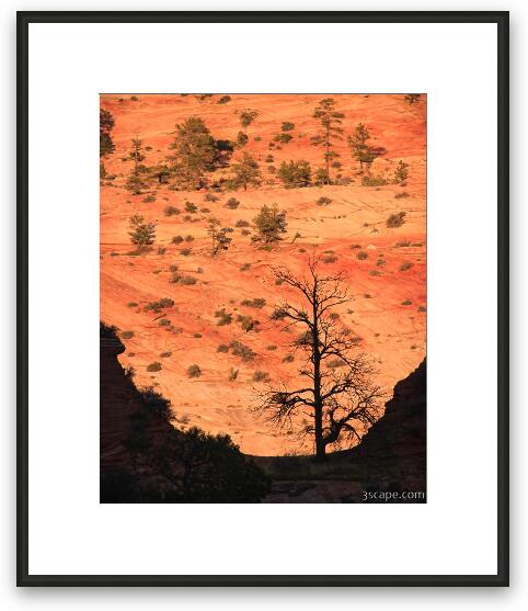 Tree silhouette Framed Fine Art Print