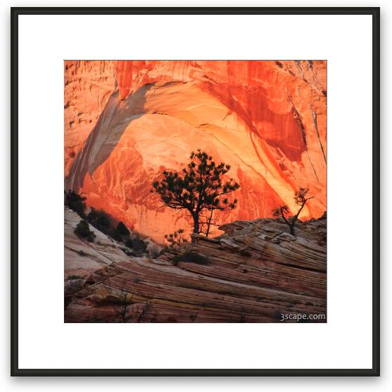 Evening sun on the rock Framed Fine Art Print