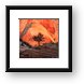 Evening sun on the rock Framed Print