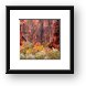The Pulpit near Temple of Sinawava Framed Print