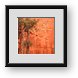 Buy Framed Print