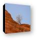 Another lone tree perched on a cliff Canvas Print