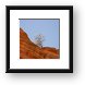 Another lone tree perched on a cliff Framed Print