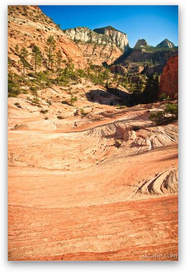 The view from above. Fine Art Metal Print