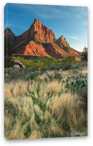 The Watchman Fine Art Canvas Print