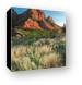 The Watchman Canvas Print