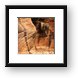 Buy Framed Print