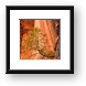 Tree growing out of rock face Framed Print