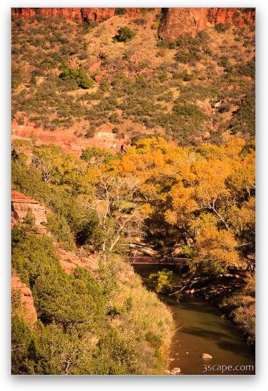 Zion Canyon and Virgin River Fine Art Print