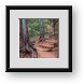 Buy Framed Print