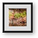 Buy Framed Print