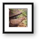 Frog rock (or lizzard or whale, depending on what you see) Framed Print