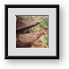 Buy Framed Print