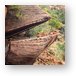 Frog rock (or lizzard or whale, depending on what you see) Metal Print