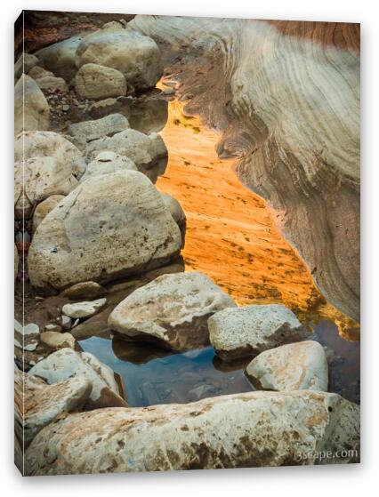 Reflections of Color Fine Art Canvas Print