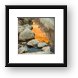 Reflections of Color Framed Print
