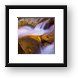 Waters Of Zion Framed Print