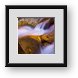 Buy Framed Print