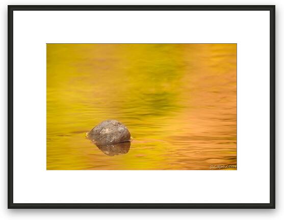 Fall Color Abstract Framed Fine Art Print