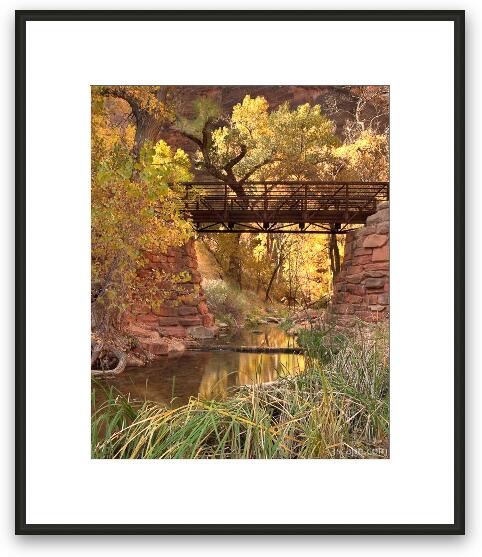 Zion Bridge Framed Fine Art Print