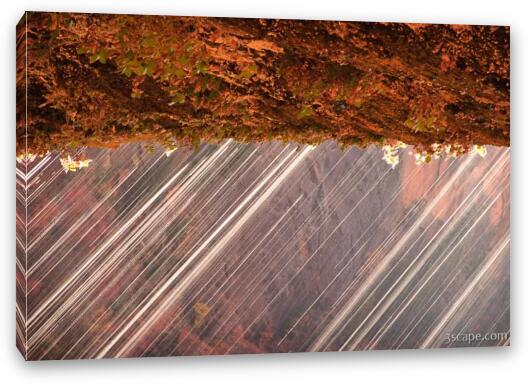 Weeping Wall abstract Fine Art Canvas Print