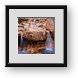 Buy Framed Print