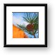 Pine cones Framed Print