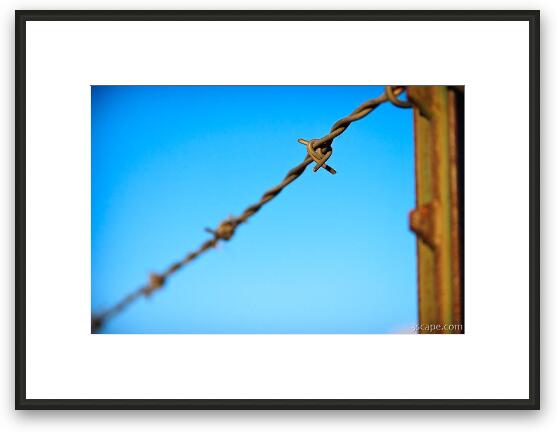 Barbed wire fence Framed Fine Art Print