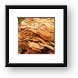 Dried out wood Framed Print
