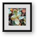 Buy Framed Print