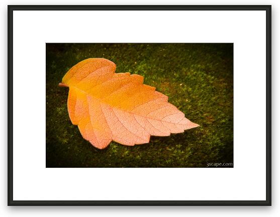 Autumn Leaf Macro Framed Fine Art Print