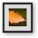 Buy Framed Print