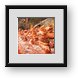 Buy Framed Print