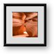 Buy Framed Print