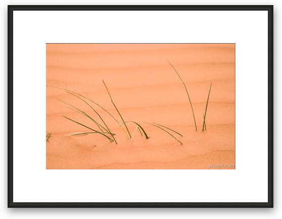 Grass in sand Framed Fine Art Print
