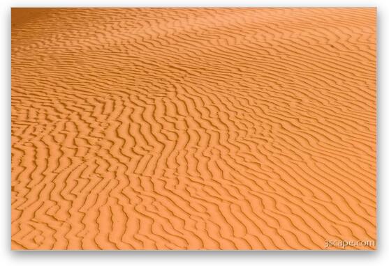 Sand ripples on the dunes Fine Art Metal Print