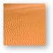 Sand ripples on the dunes Metal Print
