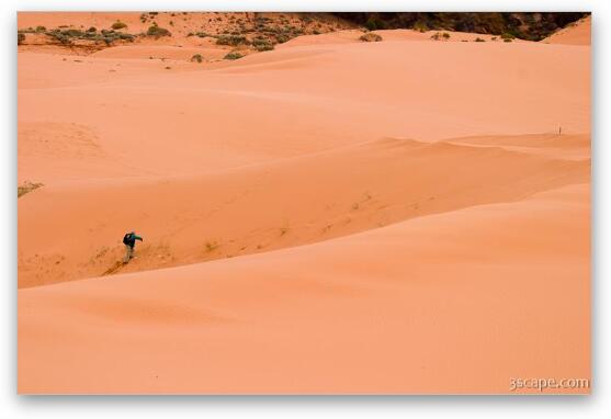 Photographer hiking the dunes Fine Art Metal Print