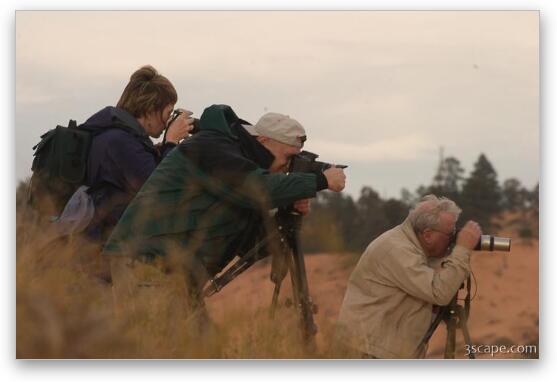 Photographers scoping out a scene Fine Art Metal Print