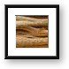 Driftwood 1 Framed Print