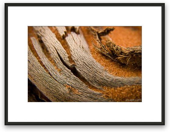 Sandy Driftwood Macro 2 Framed Fine Art Print
