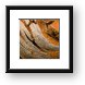 Sandy Driftwood Macro 2 Framed Print