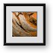 Buy Framed Print