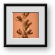 Buy Framed Print
