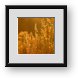 Buy Framed Print