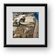 Buy Framed Print