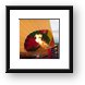 Hot air balloon being filled up Framed Print